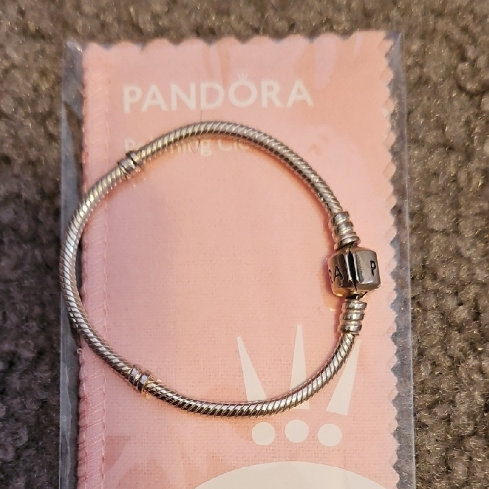Pandora Silver Bracelet with Charm